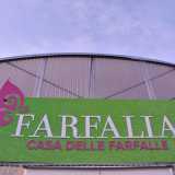 Farfalia-la casa delle farfalle�, inaugurata il 2 giugno a Monopoli, in provincia di Bari
